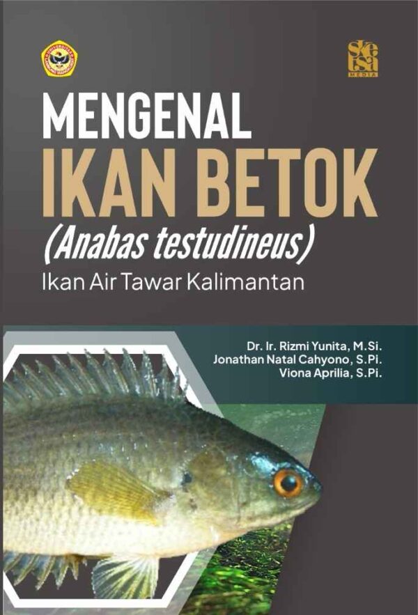 Mengenal Ikan Betok Anabas Testudineus Ikan Air Tawar Kalimantan